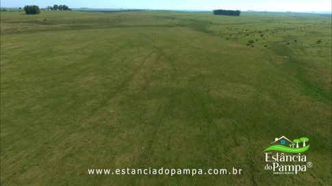 DOS EÓLICOS VIRA P FAZENDA_Moment.00_00_17_16.Quadro546_47b5fc9196d7b178d71b10397570b693c5e2a48d.jpg